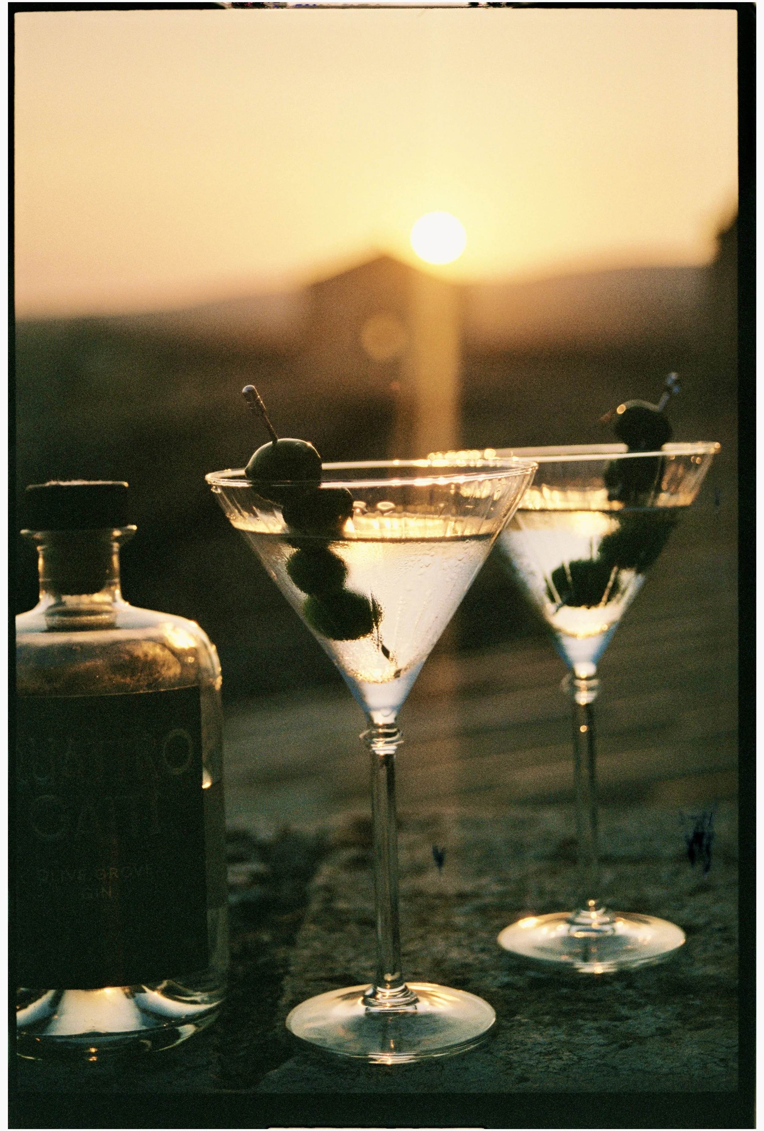 Quattro Gatti Gin, Sicily