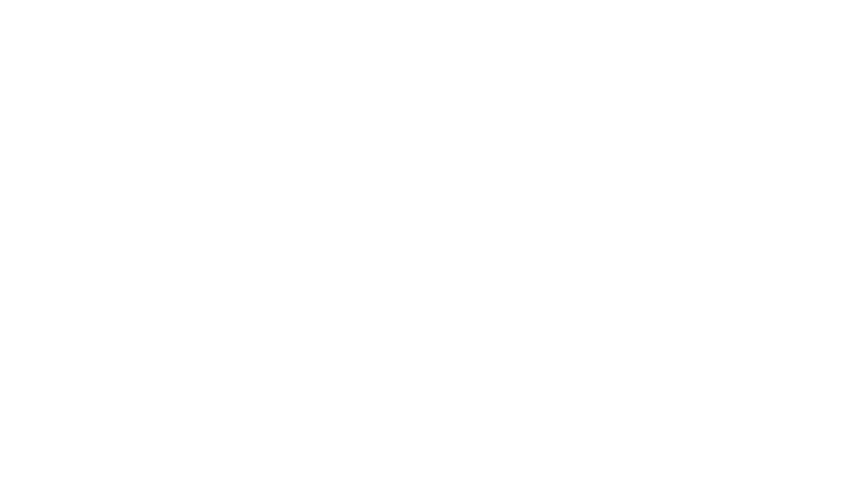 The brick