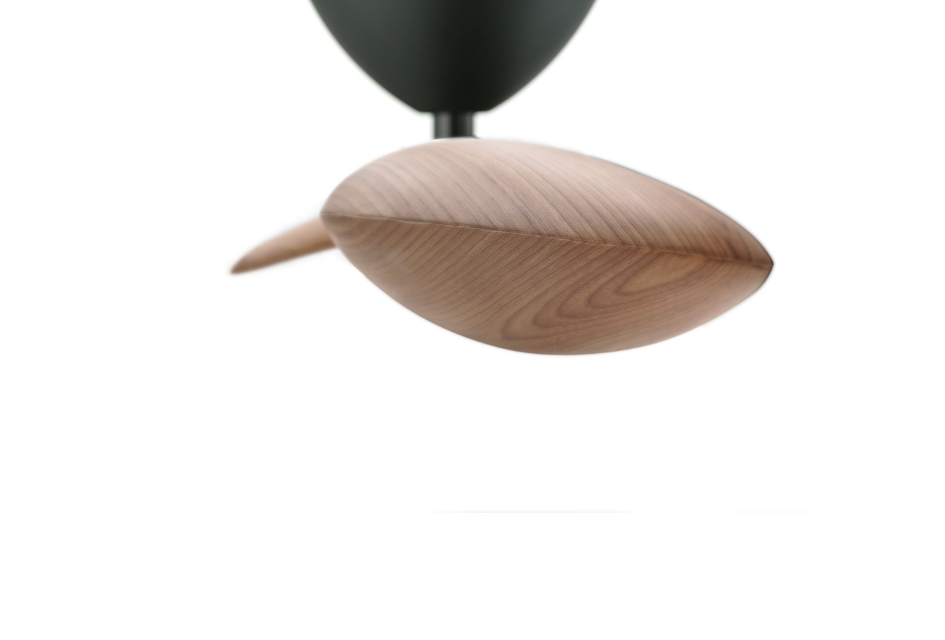 Sycamore Ceiling Fan