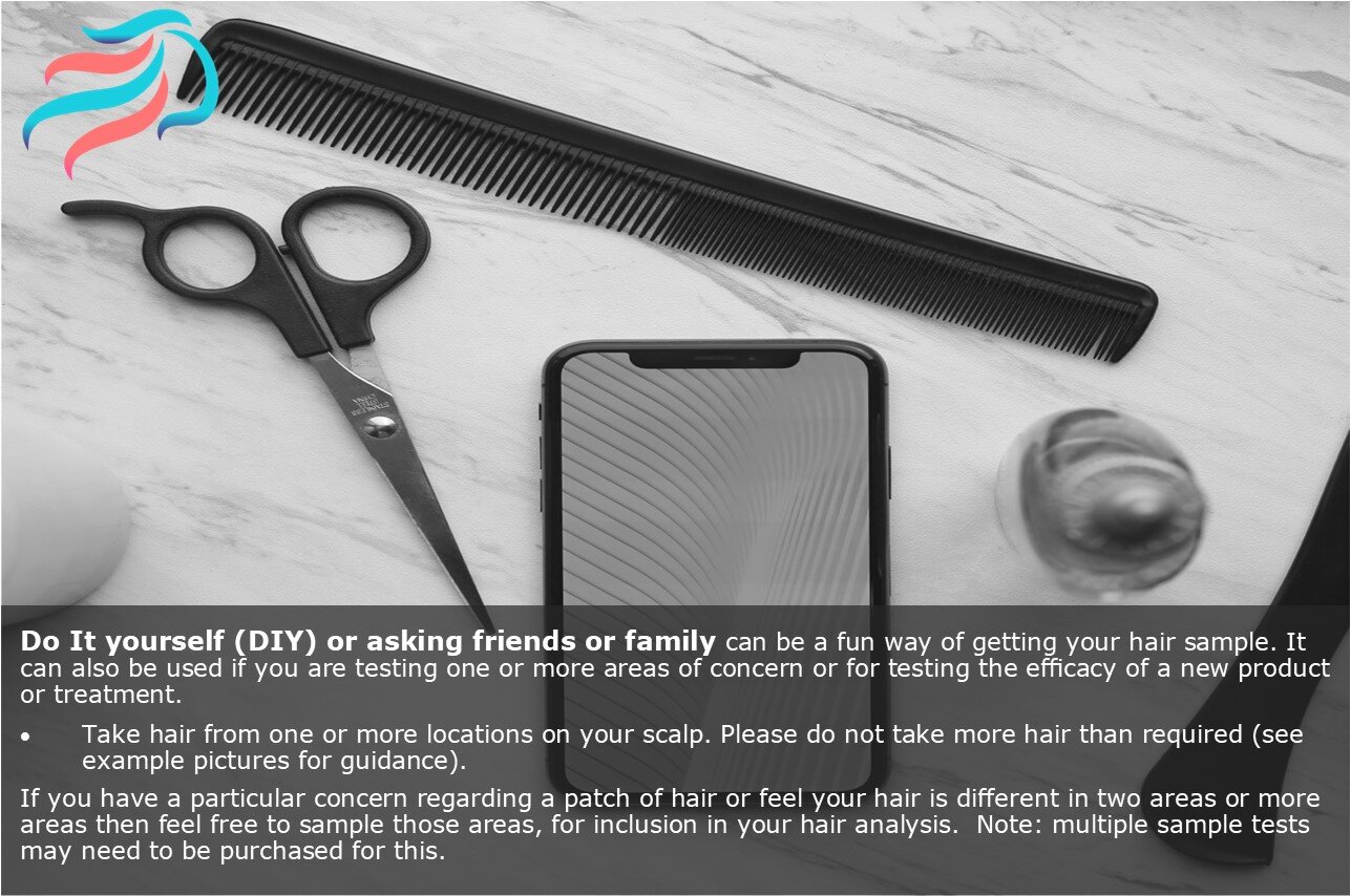 How to take hair samples for hair type and health assessment using a friend or family members help.