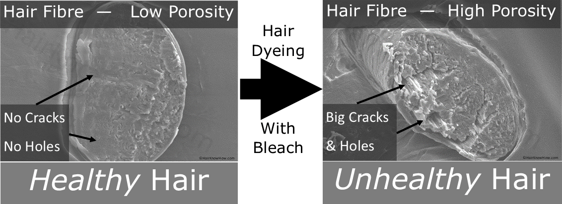 Hair Porosity - Ultimate Guide, Symptoms and Treatment —   Get Accurate Results with Our Professional Hair Test & Analysis Services -  Unlock Your Hair's True Potential