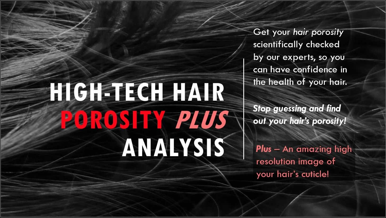 High Porosity Hair What It Means For Your Hair And How To Get Help