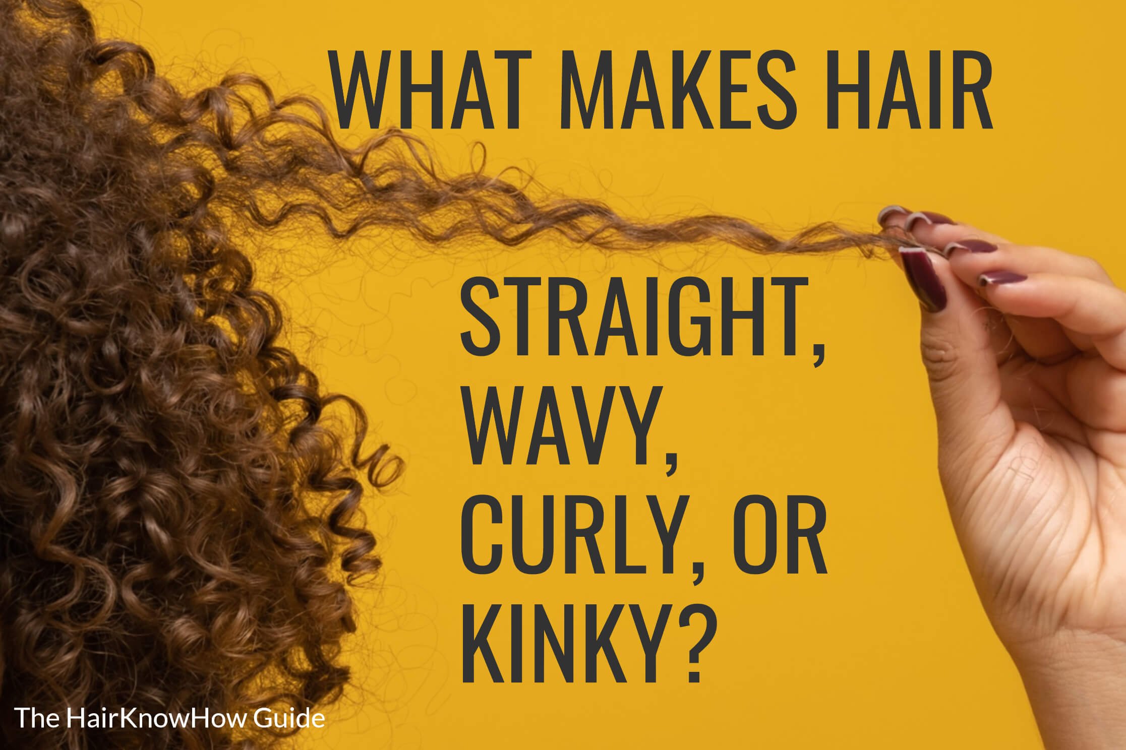 What Makes Hair Straight Hair, Curly Hair, Wavy Hair, or Kinky Hair? - What  Makes Hair Different Textures? Discover In Our Mini Hair Guide! —   Get Accurate Results with Our Professional