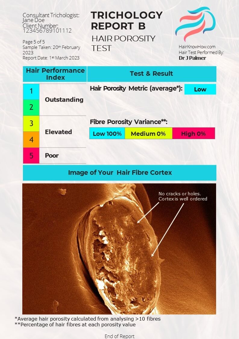 Trichology Analysis Package Hair Porosity