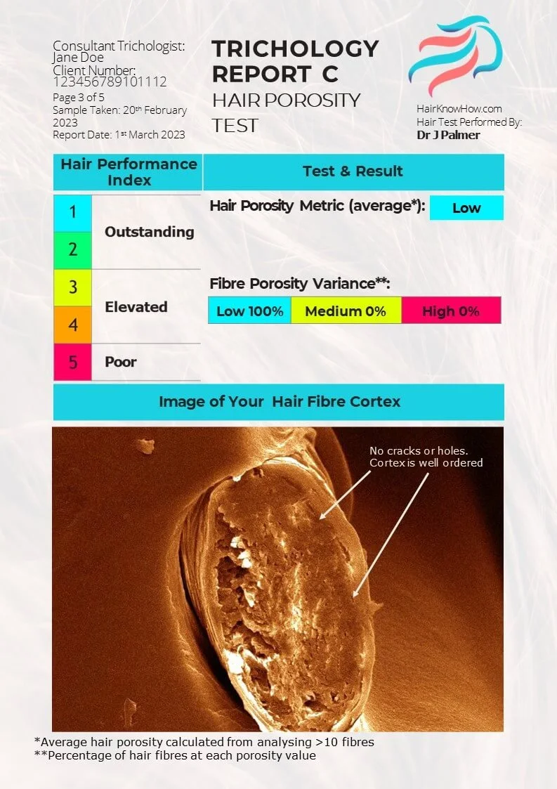 Trichology Analysis Package Hair Porosity