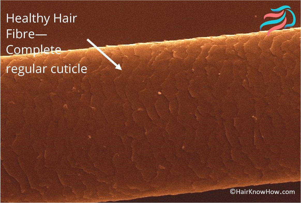 Image Healthy Hair Fibre Taken Using SEM 