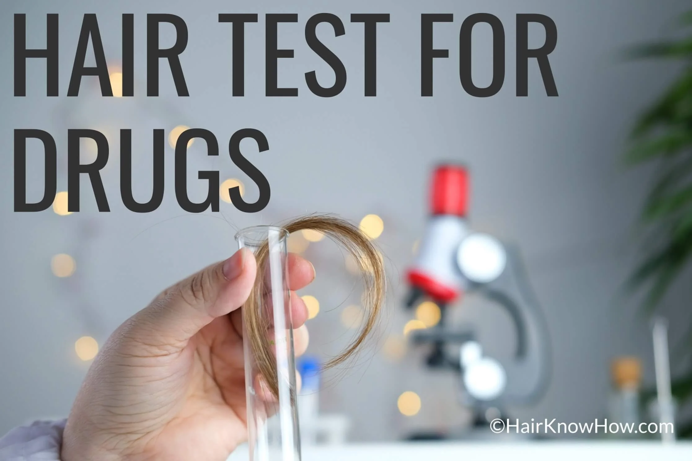Drug Hair Test Length , How far back does a hair follicle test detect ...