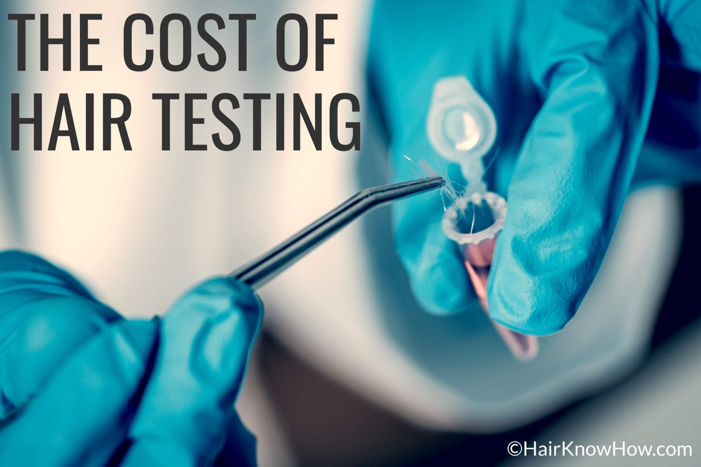 Hair Testing Cost and Pricing - HairKnowHow —  Get Accurate  Results with Our Professional Hair Test & Analysis Services - Unlock Your  Hair's True Potential