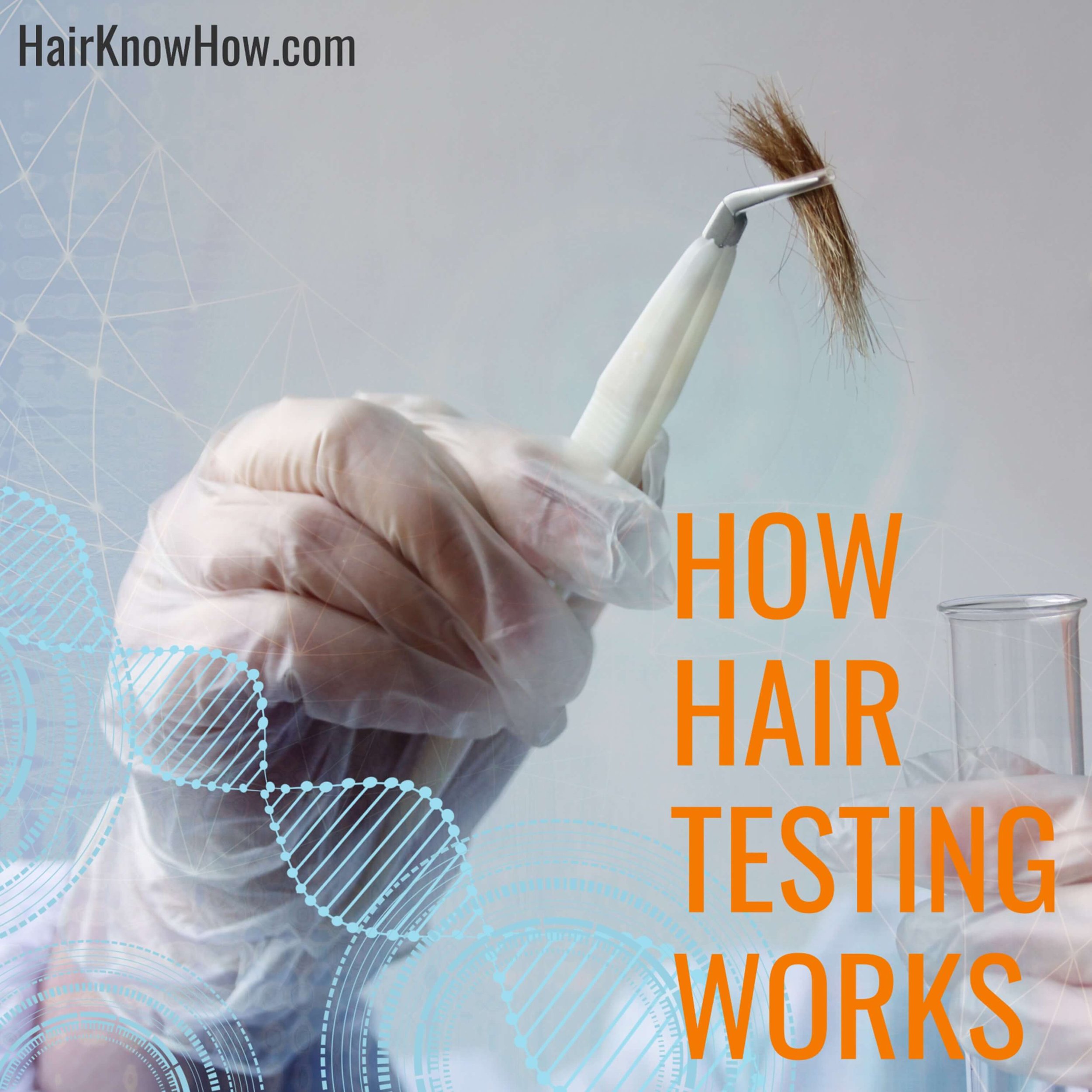 Hair Testing For Drugs - Understand Everything —  Get  Accurate Results with Our Professional Hair Test & Analysis Services -  Unlock Your Hair's True Potential