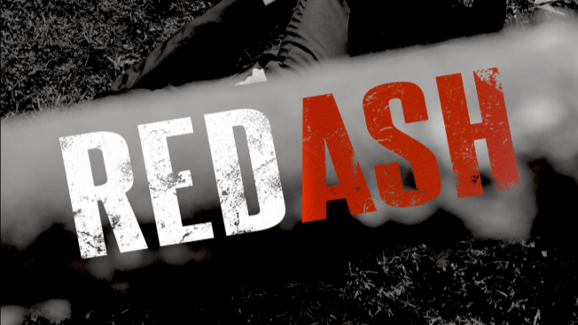 image-asset.png