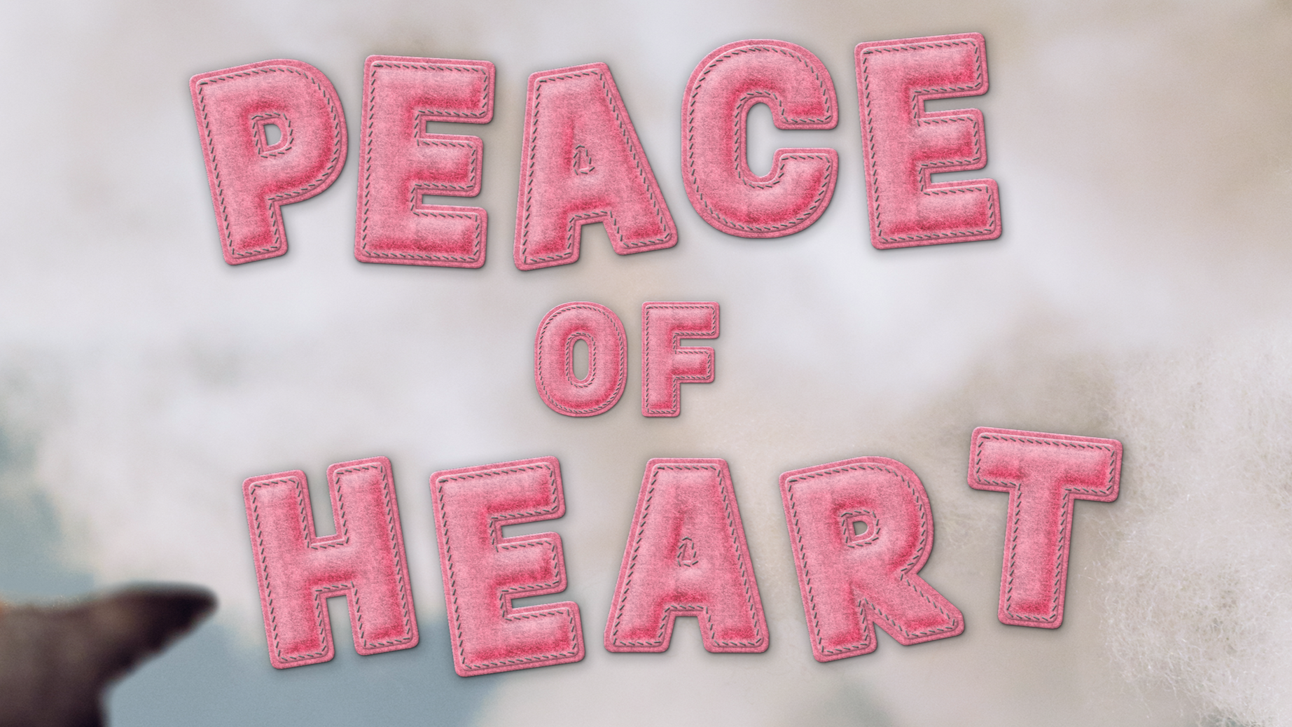 image-asset.png