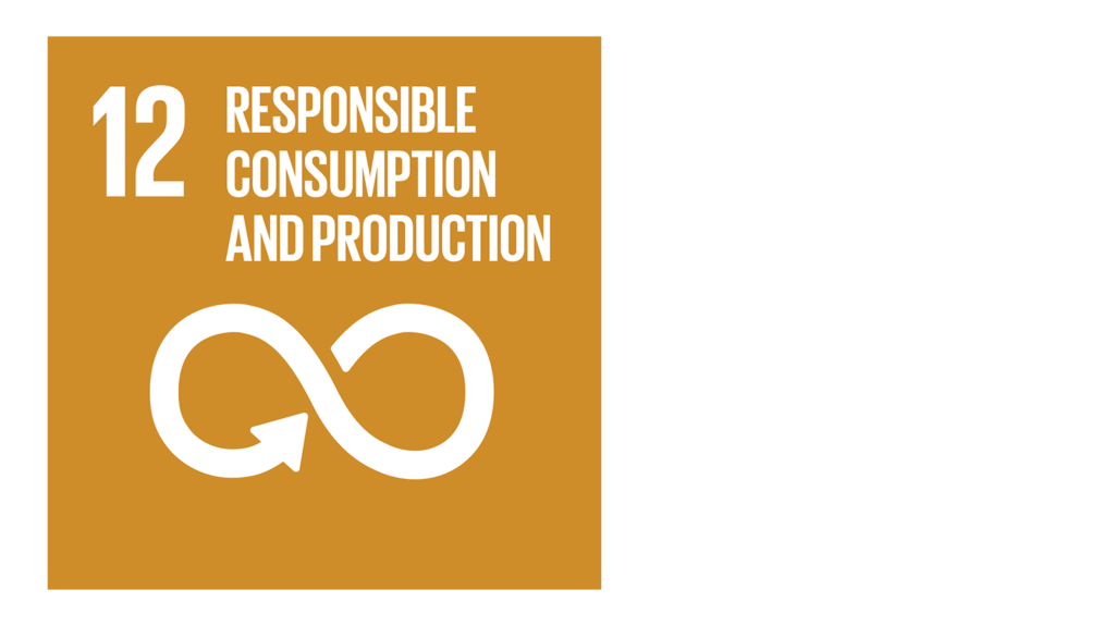 Global-Goals-icon-12-Responsible-consumption-left-aligned-1024x575-2.png
