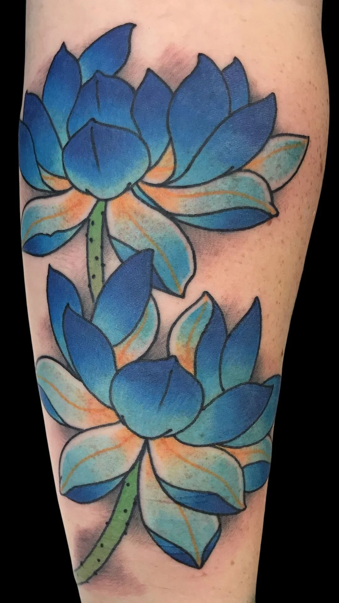 Japanese Water Lily Tattoo japanese-water-lily-tattoo
