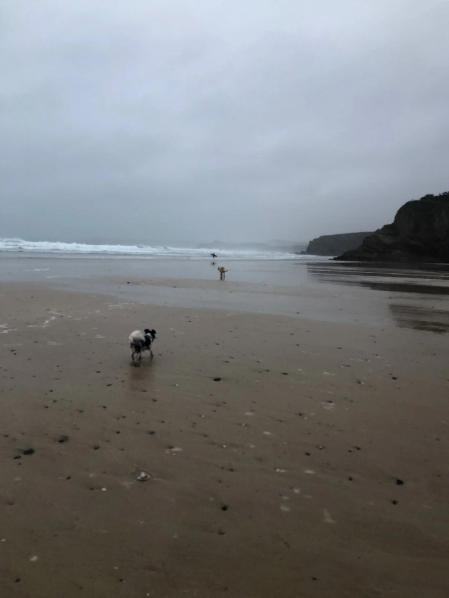 Cornwall out of season is moody, mercurial, magical. And, let’s be honest, mizzly.
#cornwalllife #cornwallcoast #cornwalloffpeak