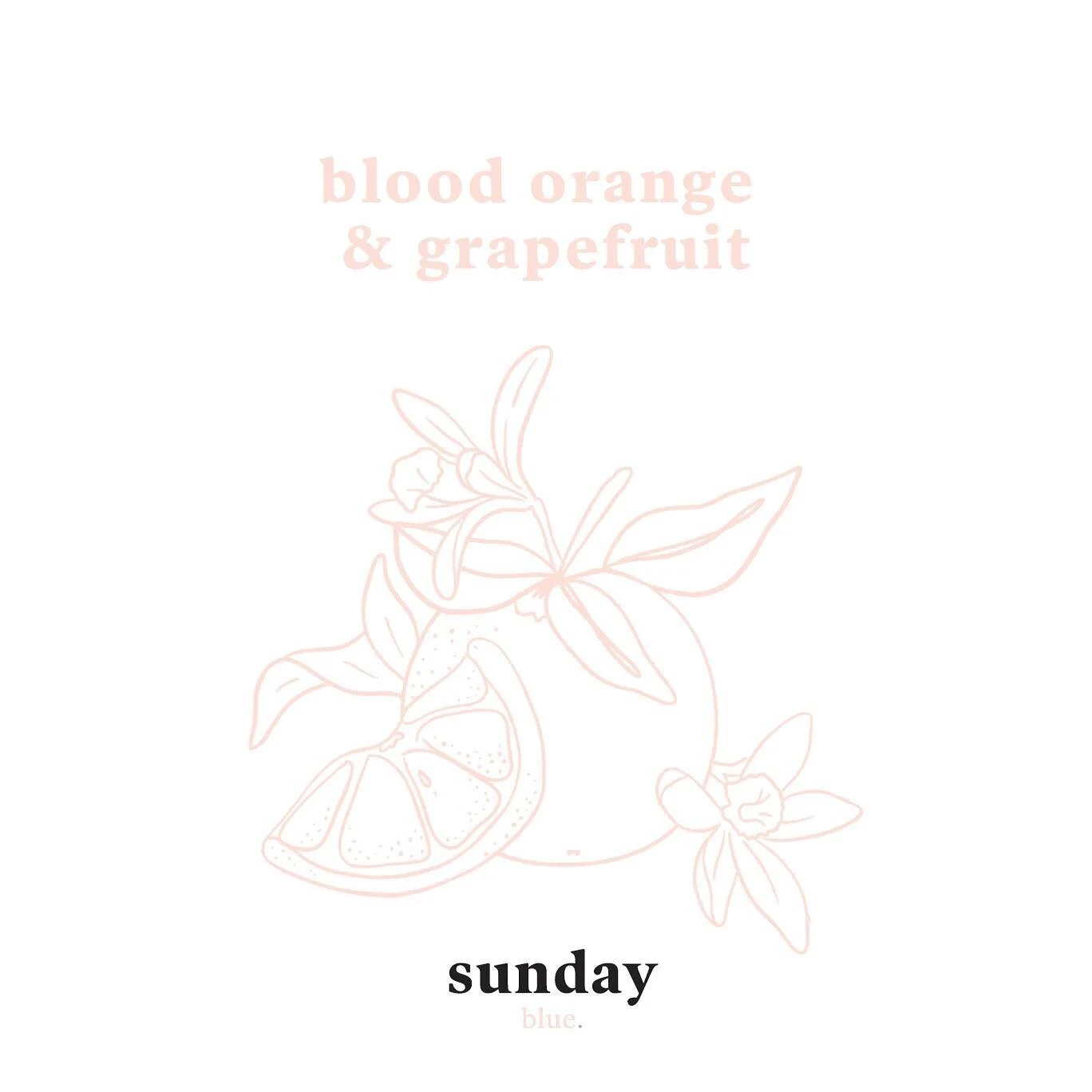 Keeping it clean &amp; minimal with a feminine edge 💁🏻&zwj;♀️ @thesundayblue 
&bull;
&bull;
&bull;
Creating social media assets that align with the brand vision &amp; colour palette has been a key part of growing this brand. 
#graphicdesign
#brandi