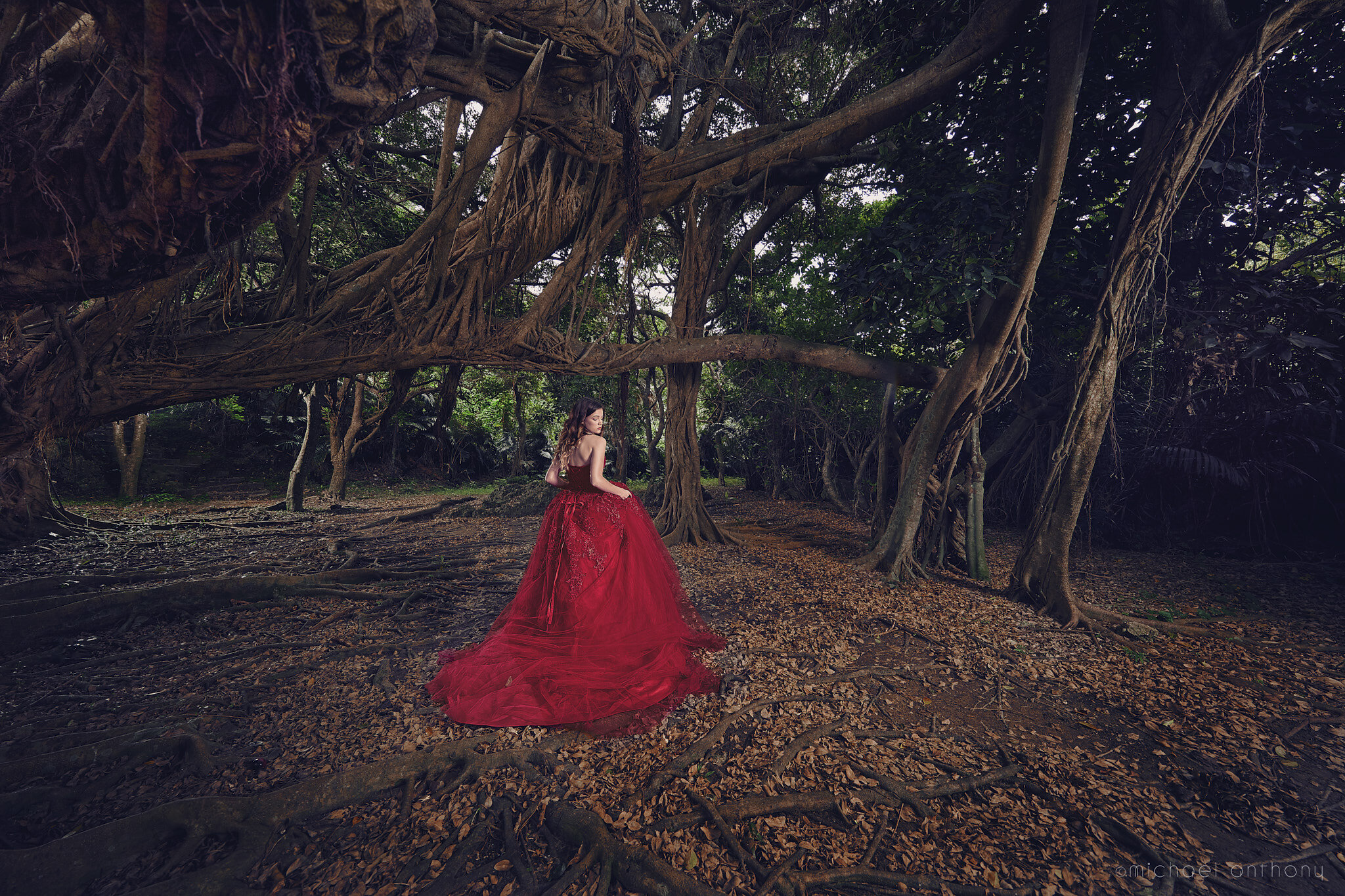 In the woods- Okinawa Photography