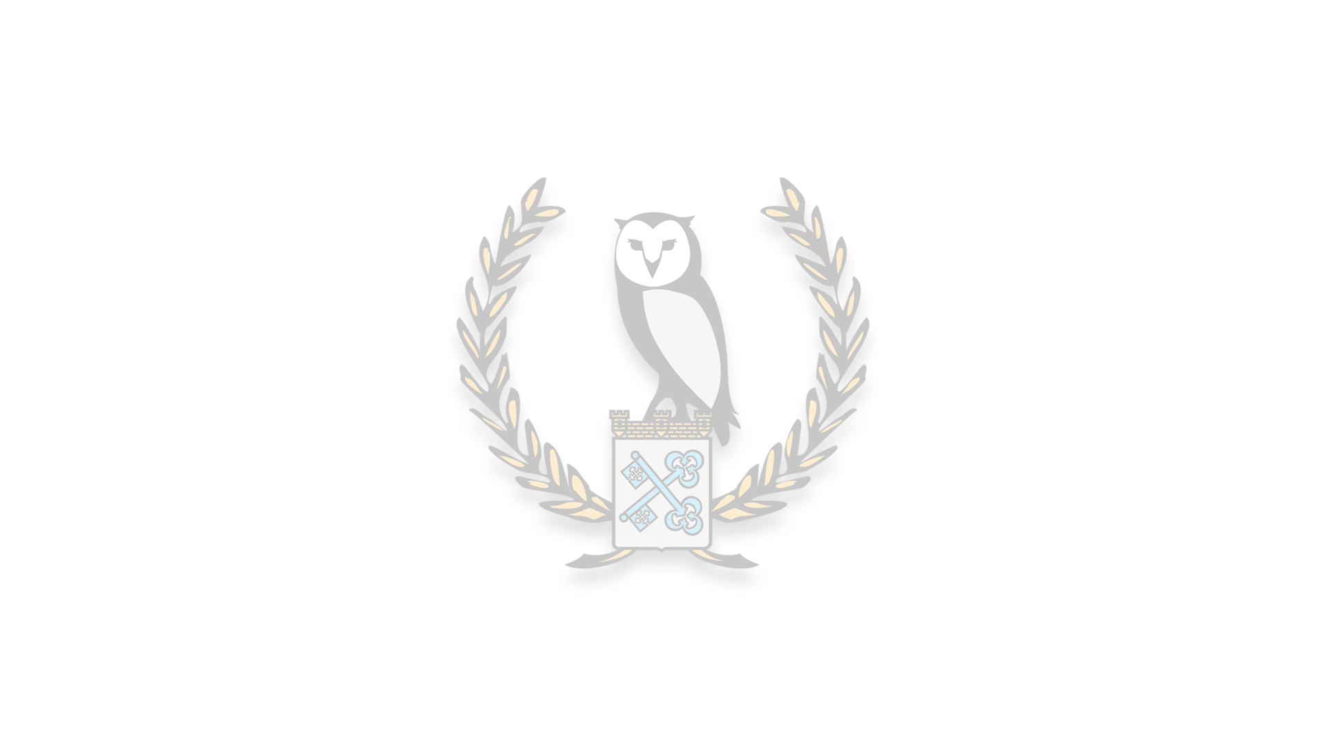 Squarespace background.png