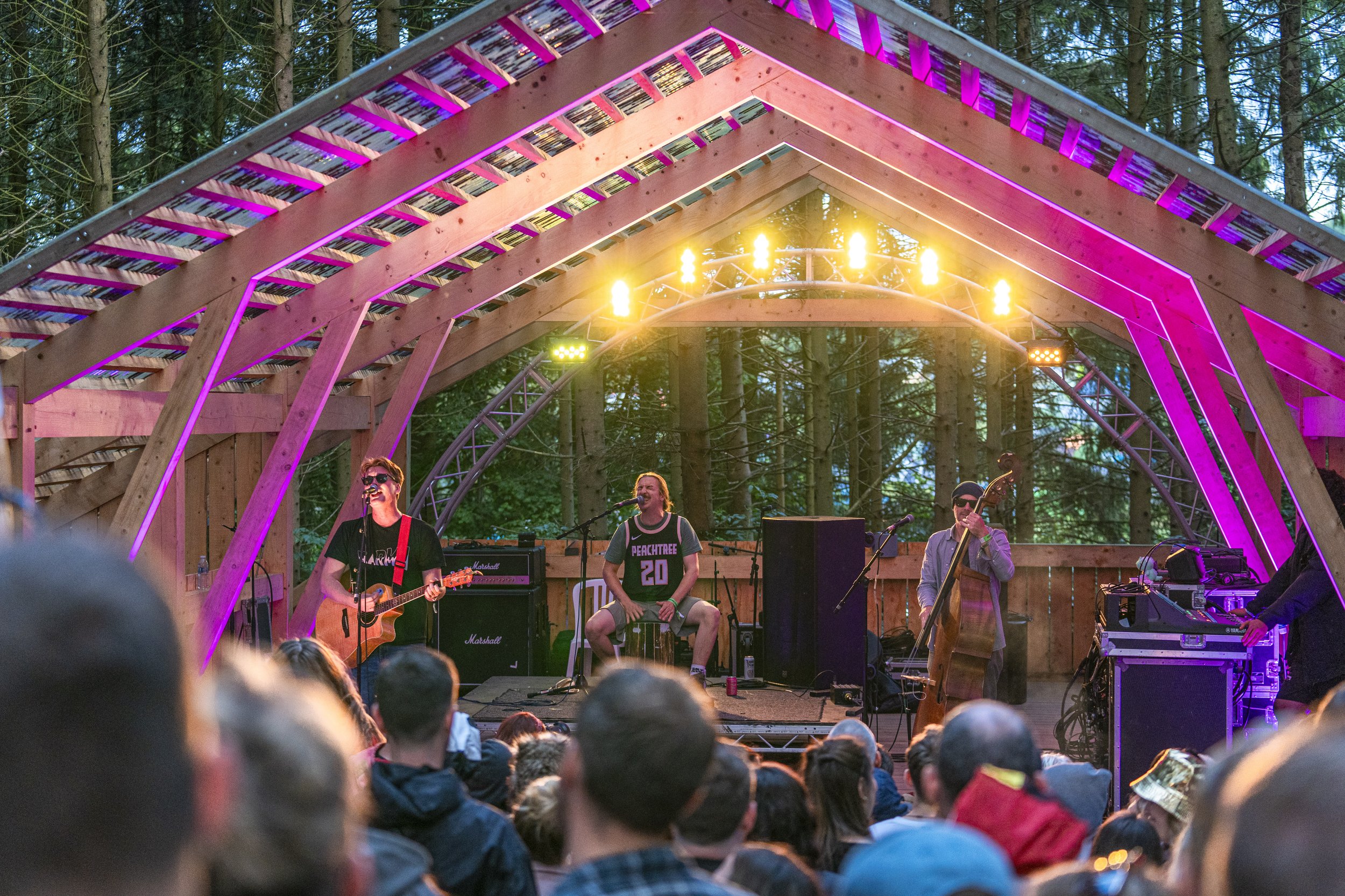 2000Trees_2024_THRILLCOLLINS_008.jpg