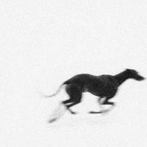 FERAL FAMILY - SO FAR BEHIND EP