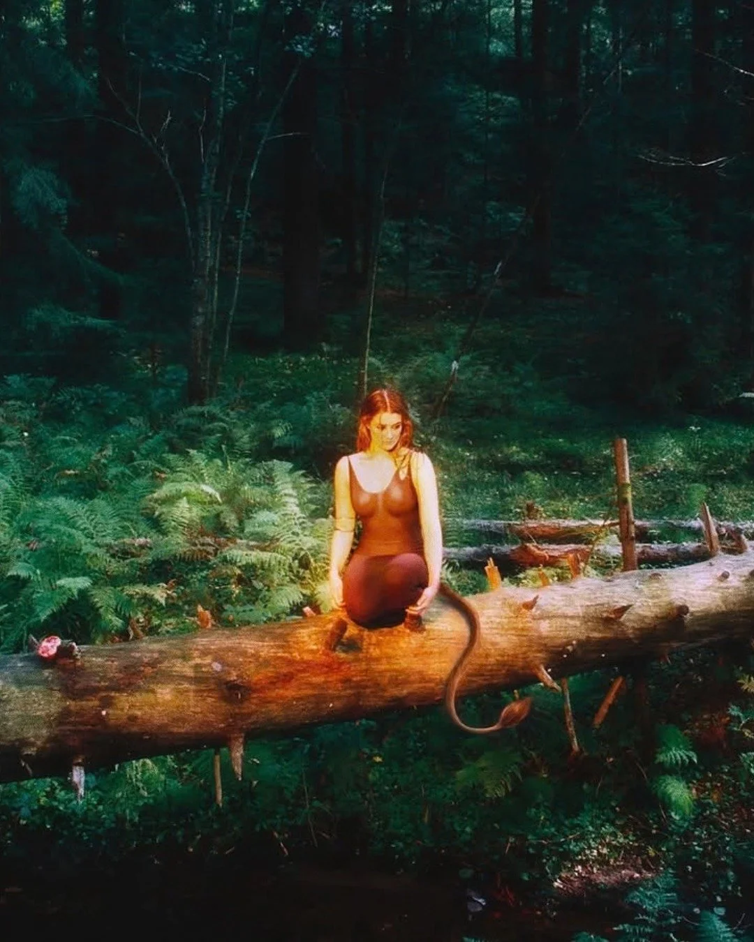 ALBUM REVIEW:  Rich in atmosphere, emotionally resonant and consistently inventive, Huldra is an enthralling introduction to @miiamusic. 

📝: Danielle Holian @danielleholian_