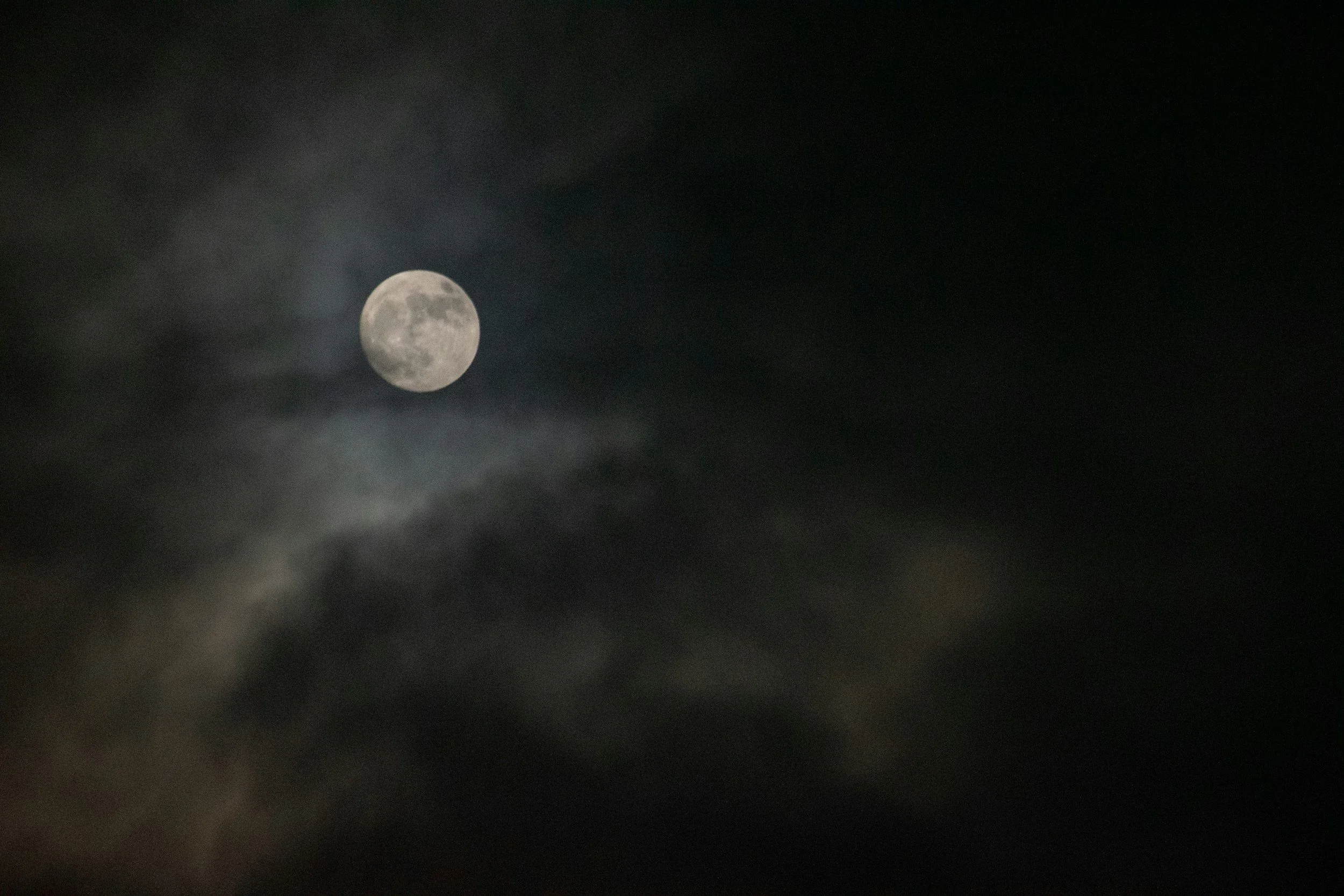 Werwolf