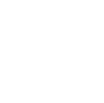 offerings_icons-02.png