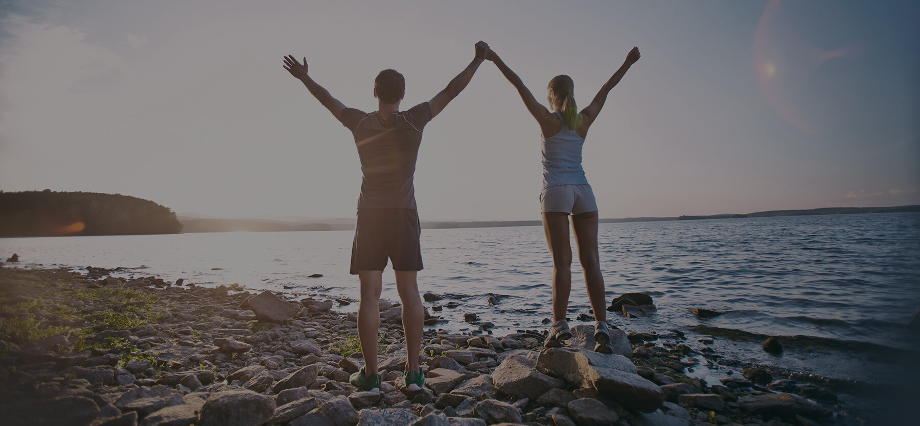 About Focus to Evolve