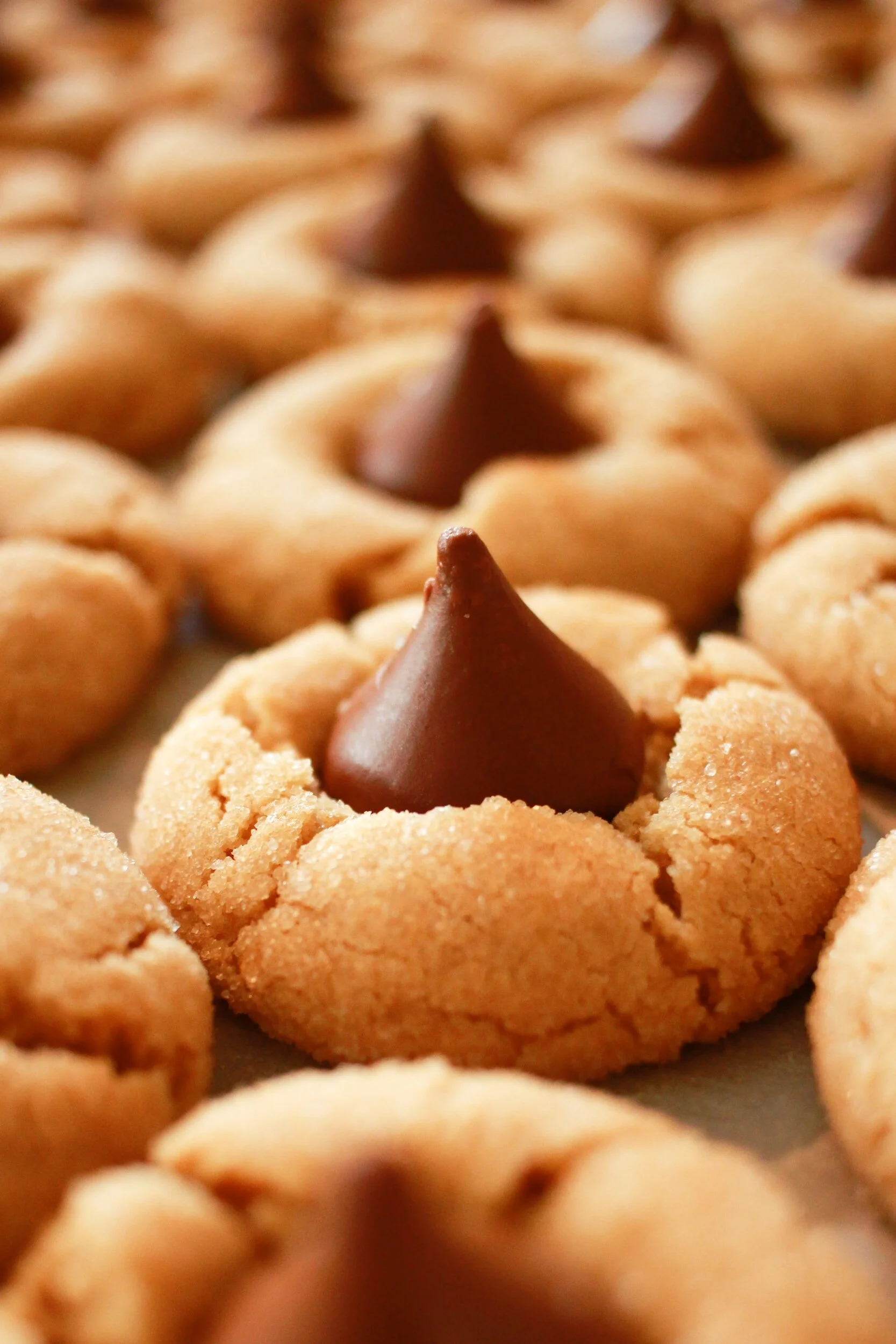 Save Your Holiday Preferences