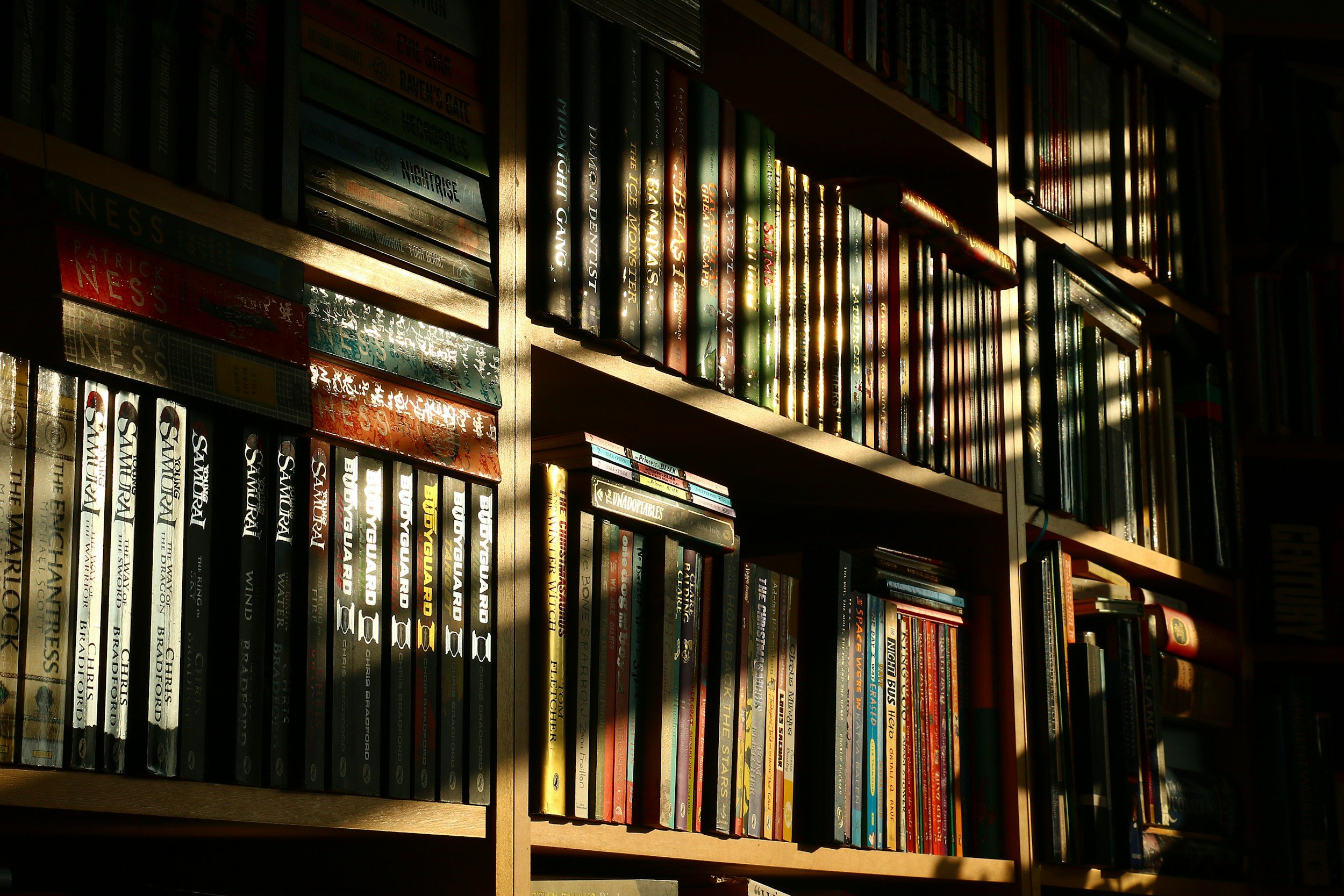 New Perspectives Reading Goal