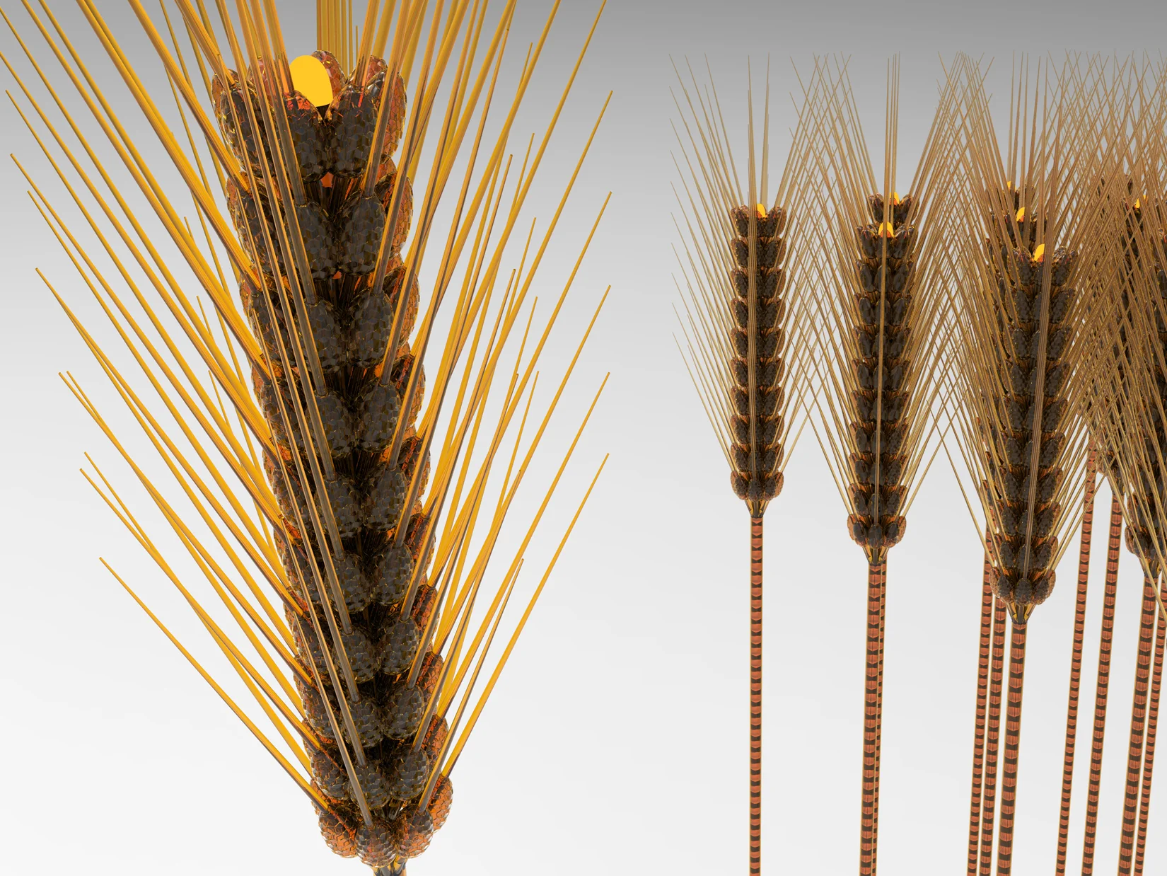 ram-industrial-design-Amber-Waves-Rob-Englert-Don-Carr-Meyer-Giordano.jpg