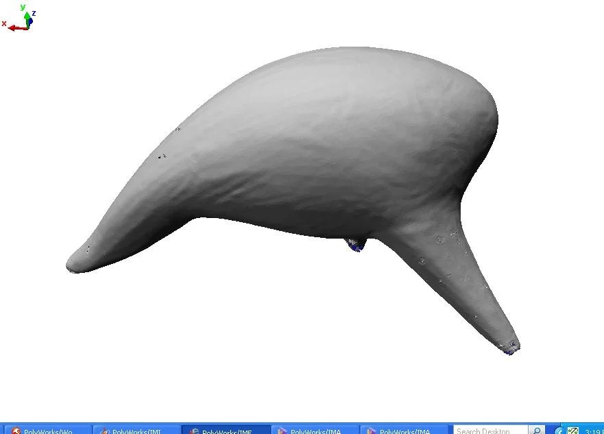 2 Willy Willy polymodel.jpg