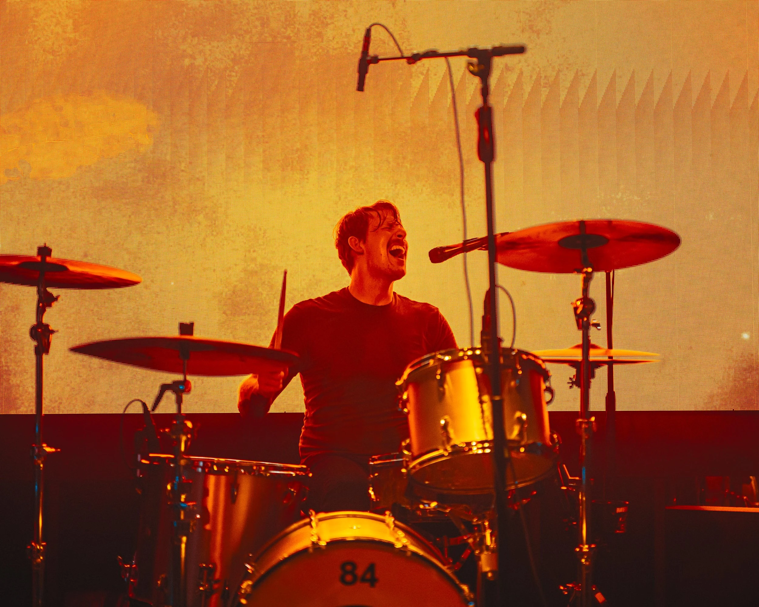 84Tigers_Orchid-4438 2.JPEG