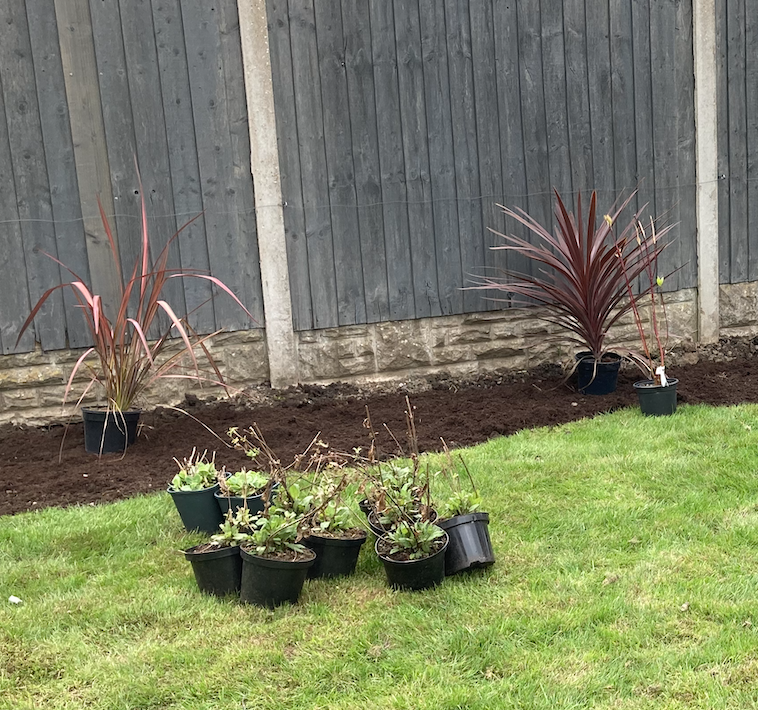 The joy of planting....the soul of the soil.