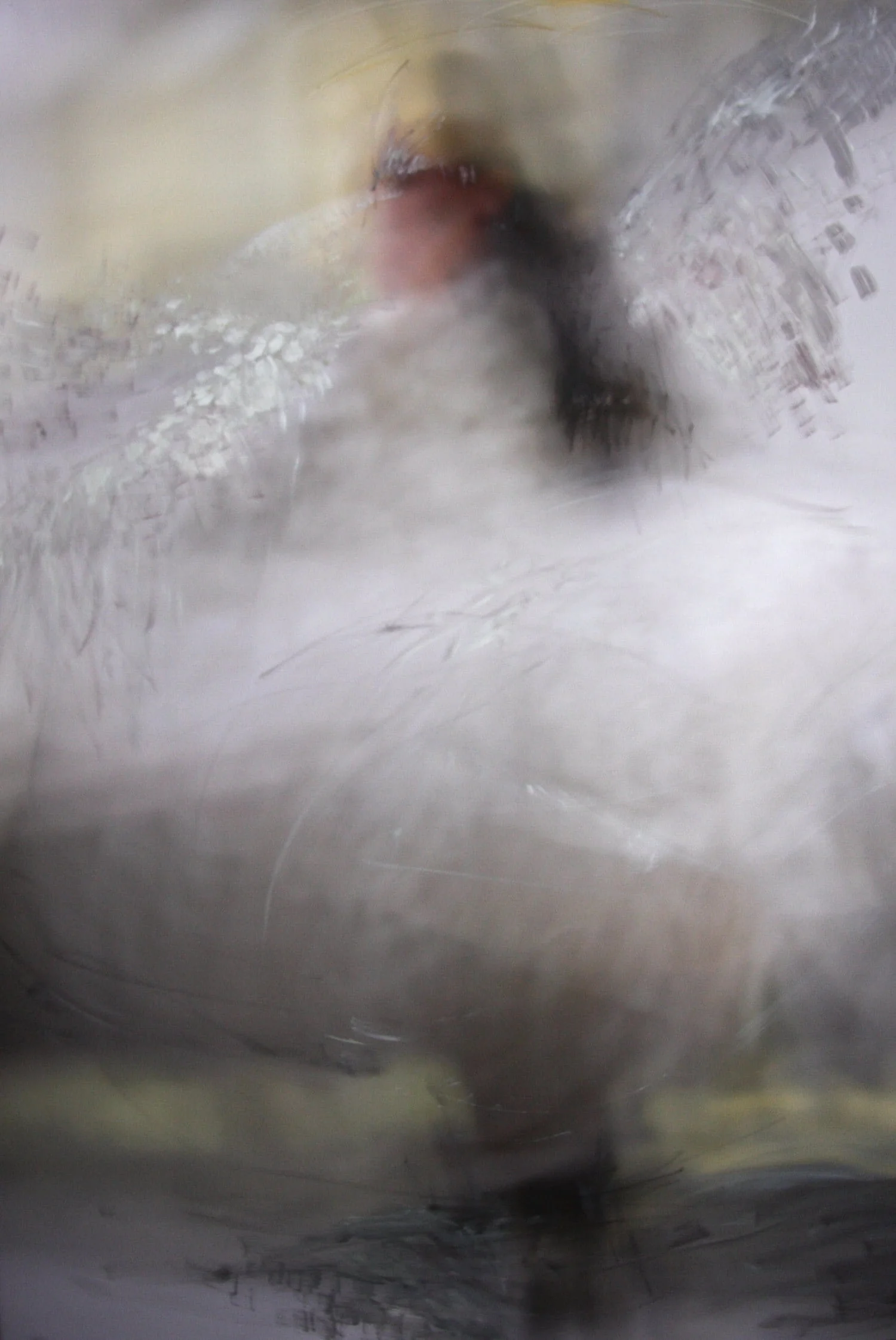 AIGANA GALI_Leda_4-min.jpeg