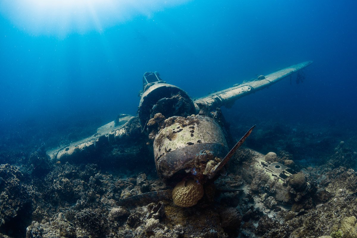 Palau-Micronesia-Scuba-Diving-4.jpeg