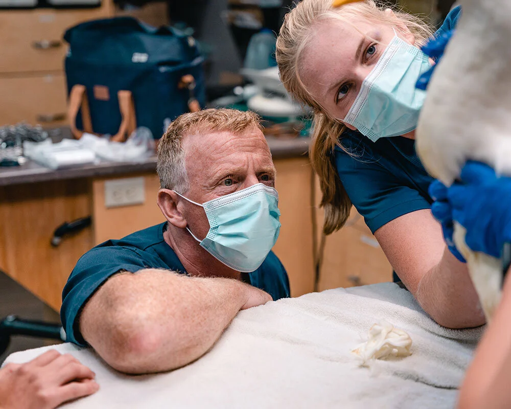 Celebrating 50 Years — Fundy Veterinarians
