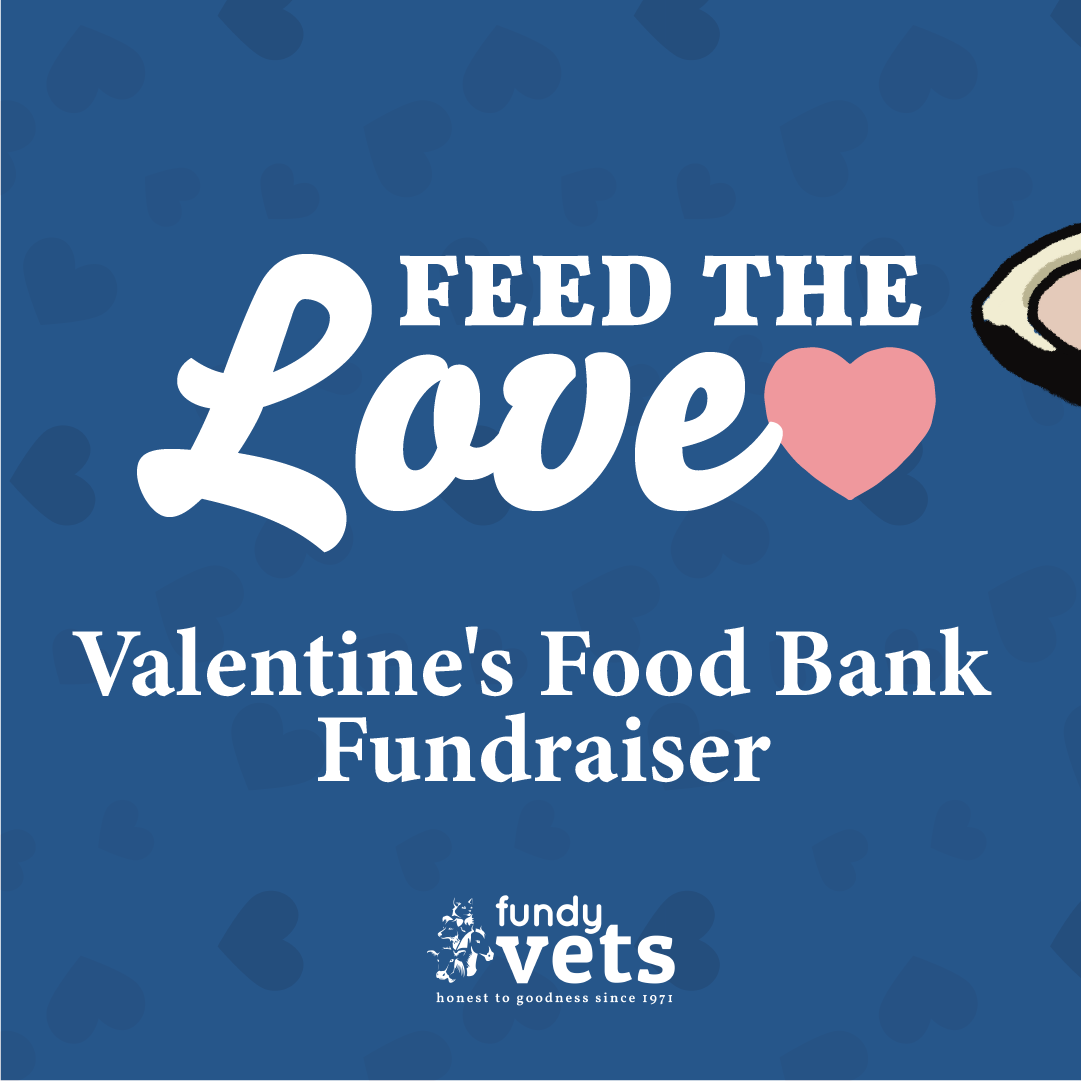 Resources — Fundy Veterinarians