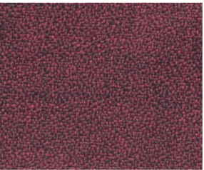 Garnet Tweed_Alliance.PNG