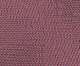 Plum_Reels Cameo.PNG