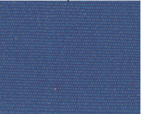 Royal Blue_Reels Cameo.PNG