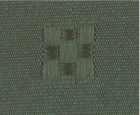 Hunter Green_Celebration.PNG