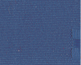 Royal Blue_Celebration.PNG