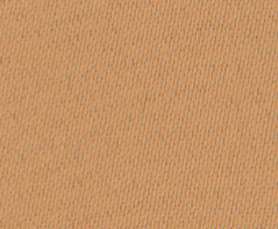 Camel_Willow Ovation.PNG