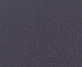 Midnight_Theatrical Velour.PNG