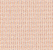 Light Beige_Poly.PNG