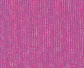 American Beauty_SSS.PNG