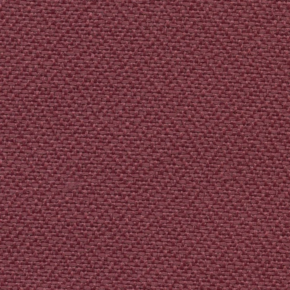 Padauk - Alliance.jpg