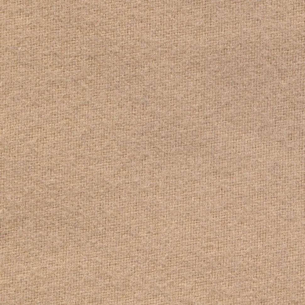 Camel - Willow.jpg