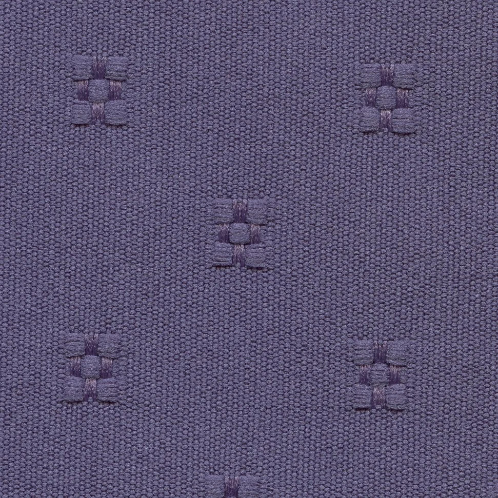 Aubergine - Celebration.jpg