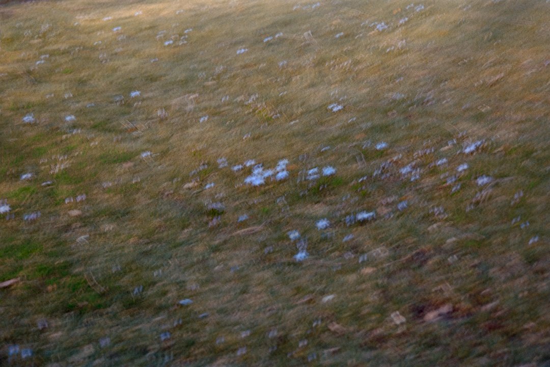 kitchen hymns-26.jpg